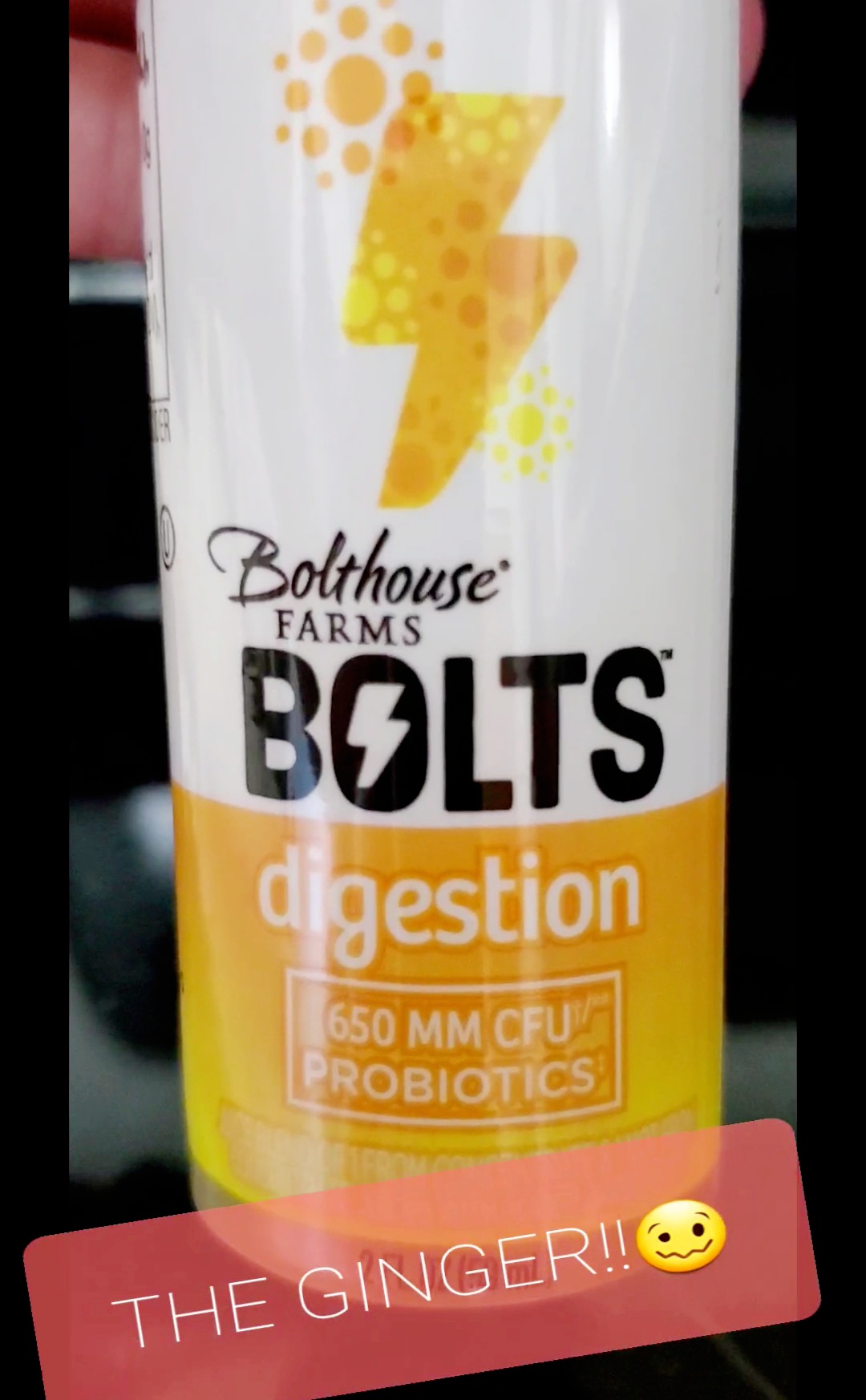 Bolt_House_BOLTS02_8piqs.jpg